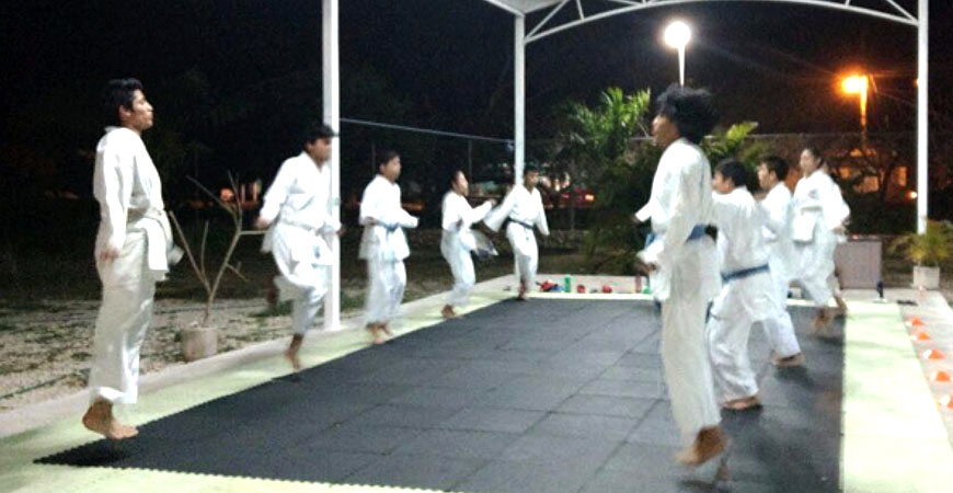 Karate Do - legorretahernandez.jpg