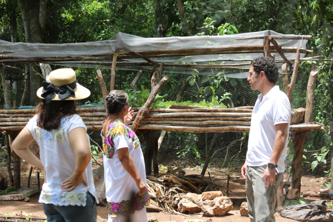 Casas Comunitarias - LegorretaHernandez.com